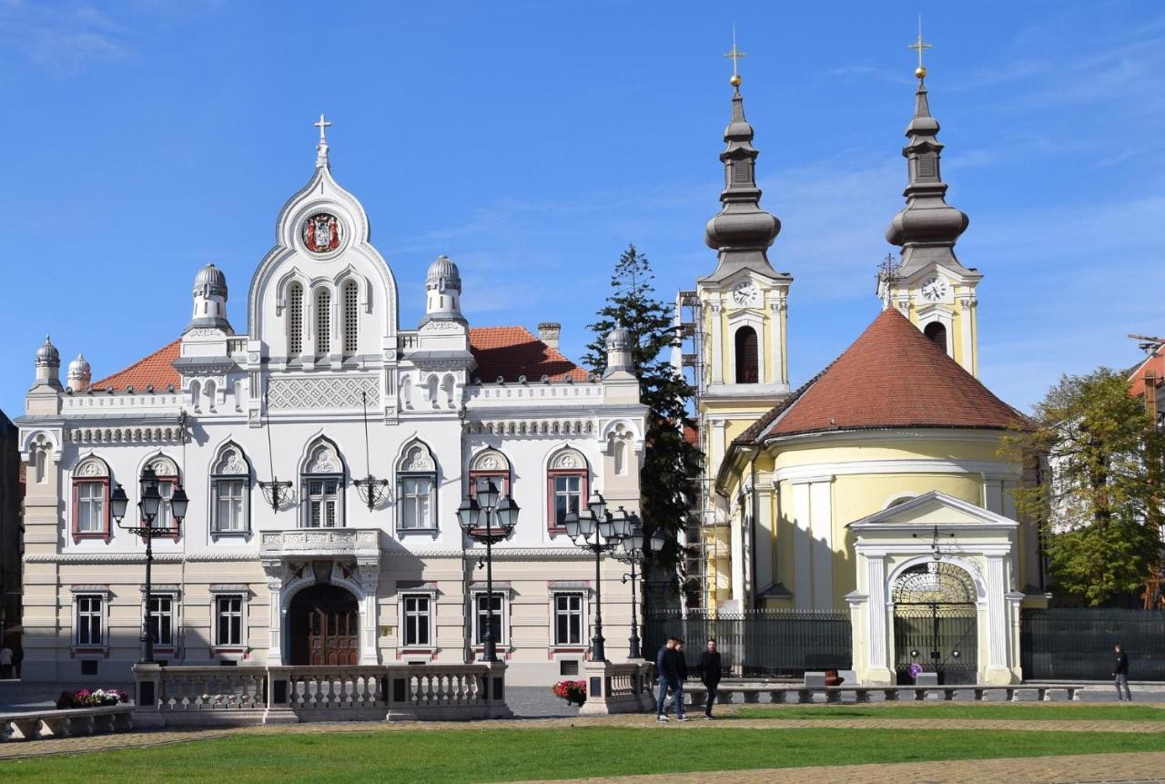 Ole Apartment - Get Your Energy For Free! Coffee And Tea On The House Timisoara Bagian luar foto